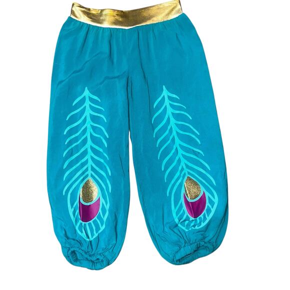 Disney Princess Jasmine Costume Aladdin Toddler girl Size 5T dress up cosplay - Picture 2 of 9